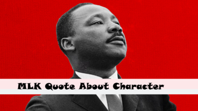 MLK Quote About Character