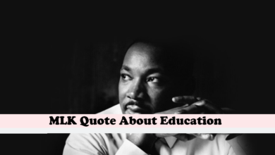 MLK Quote About Education