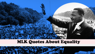 MLK Quotes About Equality