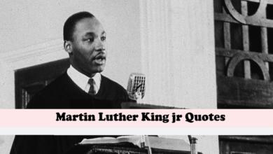 Martin Luther King jr Quotes